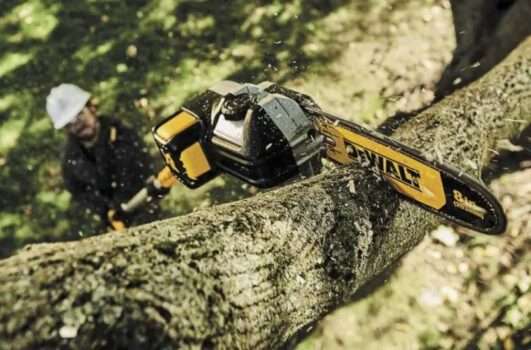 10 Best Pole Saws